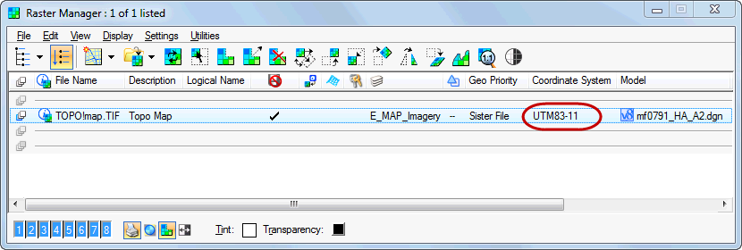 Raster Manager menu with attached file and coordinate system noted