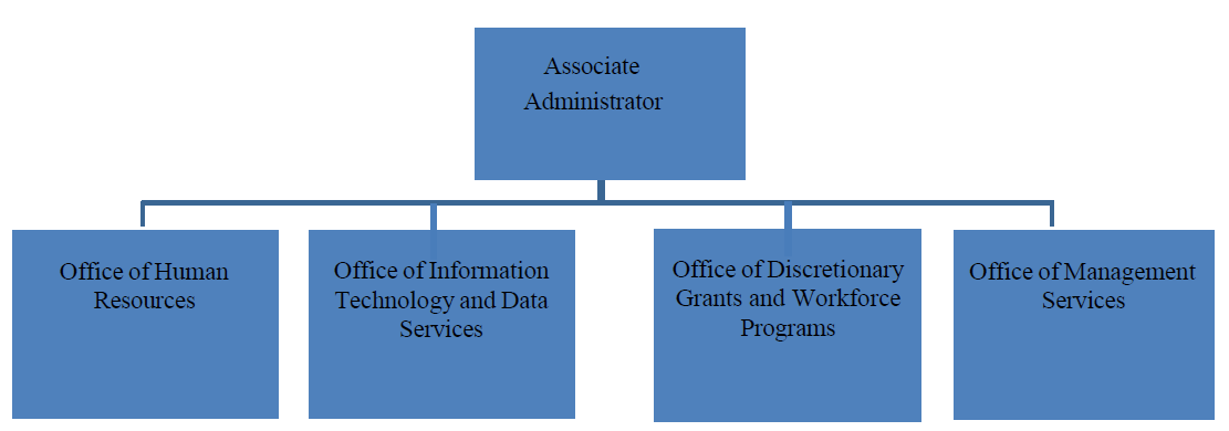 admin org chart