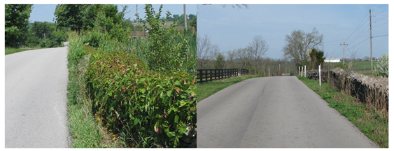 Before and after photos of the rock wall on Clear Creek Rd.