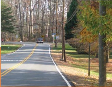 "A rural roadway where signage is obscured by a tree."