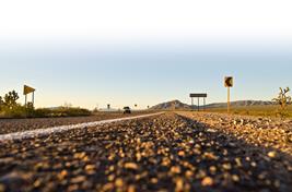 "Sun-dappled rural road with traffic signs for upcoming curves"