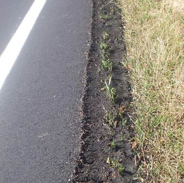 Figure 6. Example of Safety EdgeSM placed on heavy vegetation – due to lack of adequate compaction the Safety EdgeSM will deteriorate.