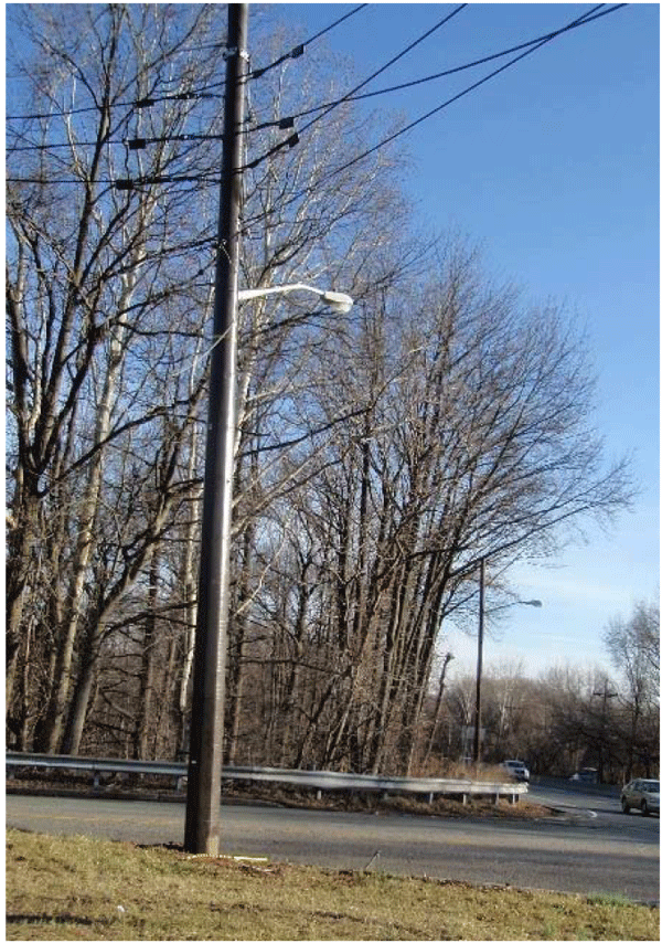 Appendix H: Utility Pole Management in New Jersey | FHWA