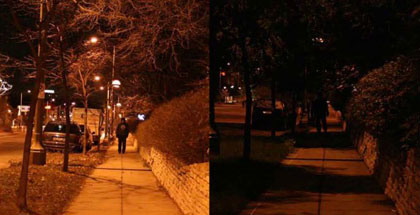 Figure 49 - Comparison of sidewalk areas in winter (without leaves) and summer (with leaves)