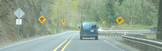 "photo of updated signs on a roadway that curves ahead"