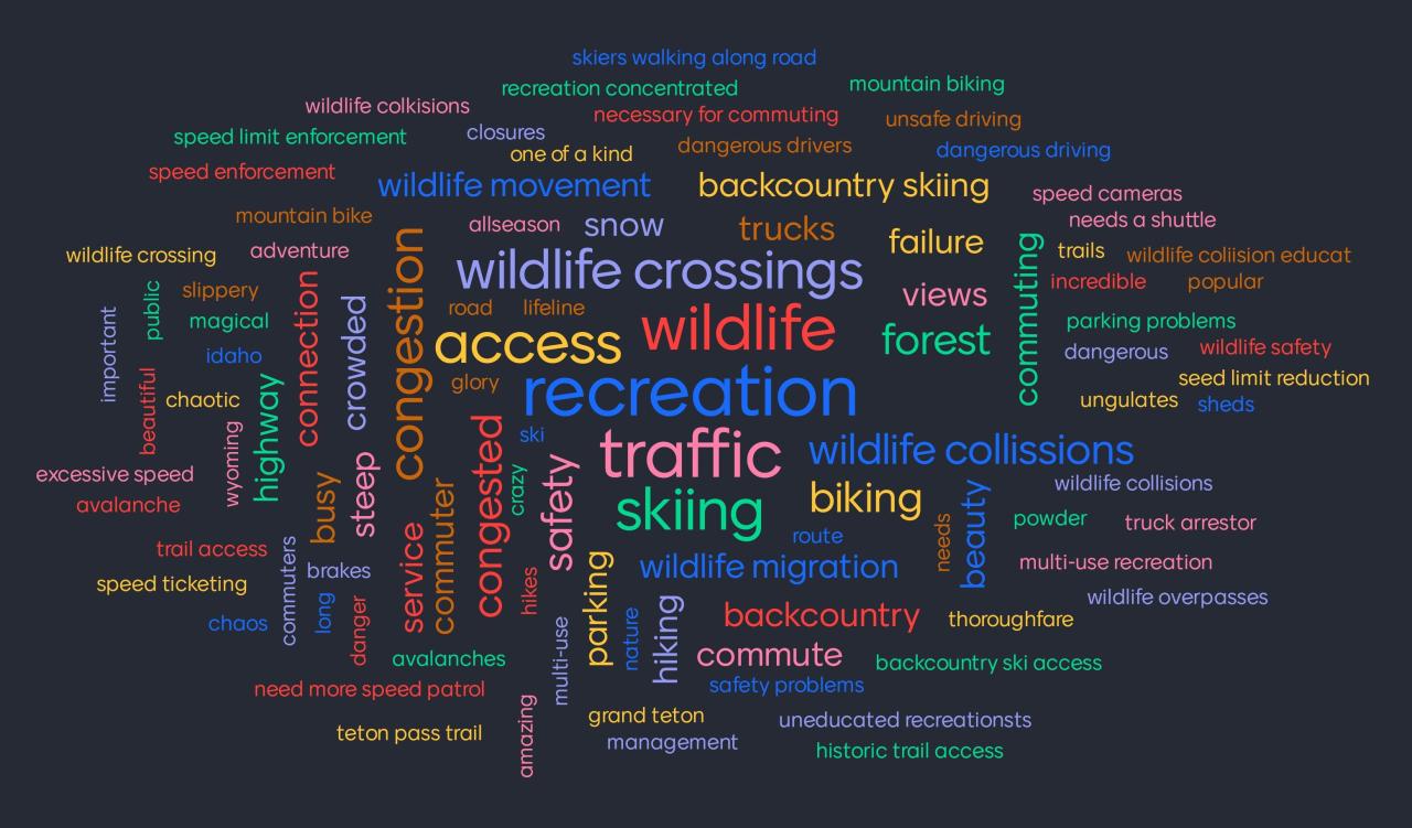 Wordcloud image showing various themes and ideas contributed at the meeting