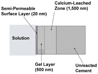 A diagram displaying the four layers of cement grain. A gray box with "solution" written inside is shown first with semi-permeable surface is the first layer, gel is the second layer, calcium-leached zone is the third layer and unreacted cement is the forth layer. The names of  the layers are written outside the layer with an arrow pointing to each layer. 