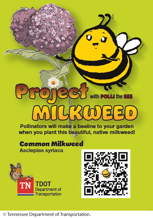 : A poster with illustrations of a bee and flowers above the following text: “Project Milkweed with Polli the Bee. Pollinators will make a beeline to your garden when you plant this beautiful, native milkweed! Common Milkweed Asclepias syriaca.” An illustration of a butterfly attached to the logo for the Tennessee Department of Transportation and a QR code is at the bottom. Image: © Tennessee Department of Transportation.