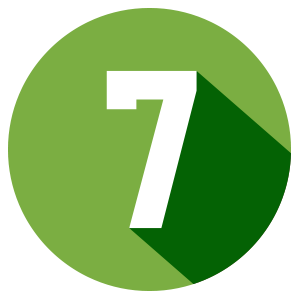 Number 7