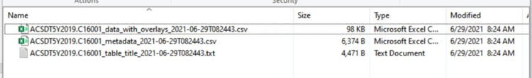 Once downloaded, the files are listed as ACSDT5Y2019.C16001_data_with_overlays_2021-06-29T082443.csv; ACSDT5Y2019.C16001_metadata_2021-06-29T082443.csv; and ACSDT5Y2019.C16001_table_title_2021-06-29T082443.txt.