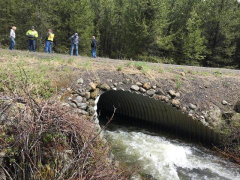 Bridge Site 3