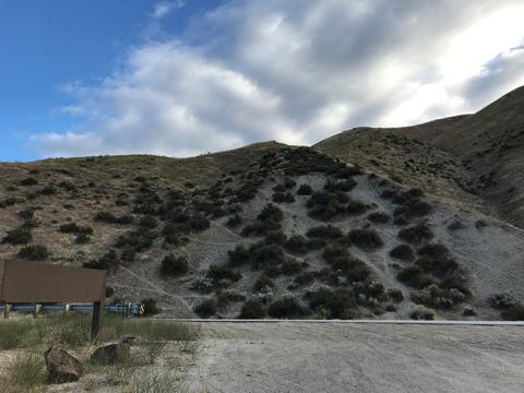 Game trails along SH-21.